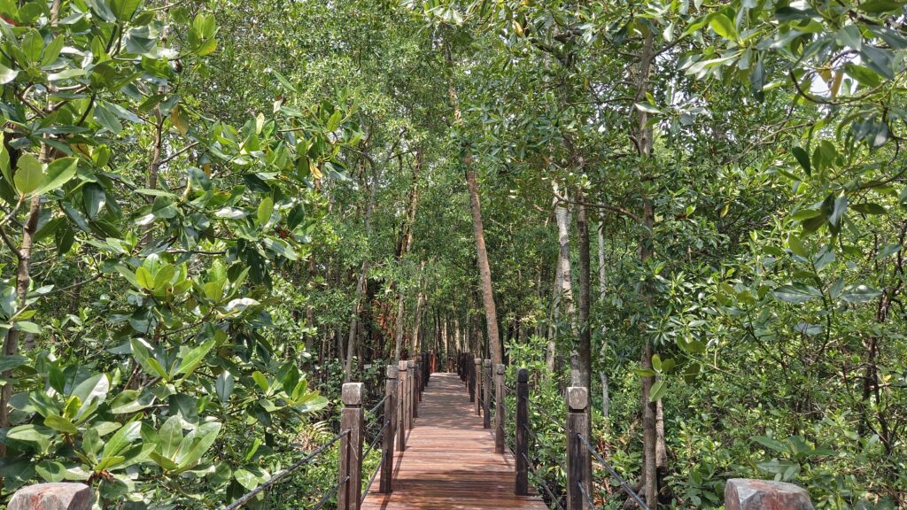 Tanjung Piai Pontian Johor Malaysia 01